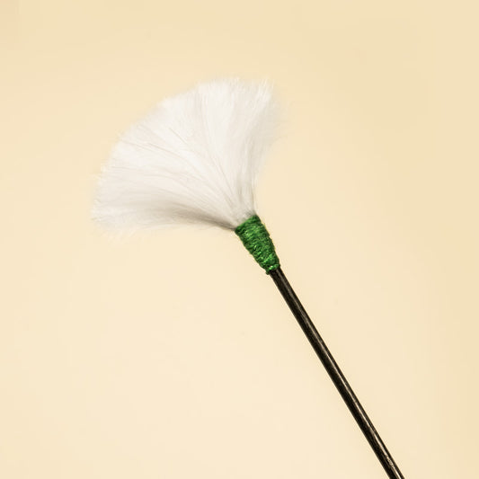 ear massage tool && ear spa tool (green)